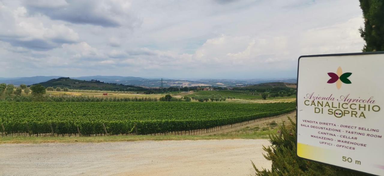 Borgo Canalicchio Di Sopra Relais Farm stay